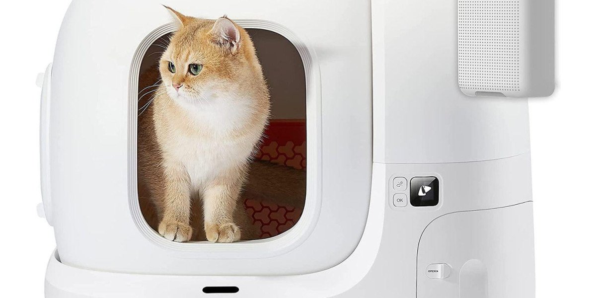 Why Pawtechpet Automatic Cat Litter Box Earns Owner Trust